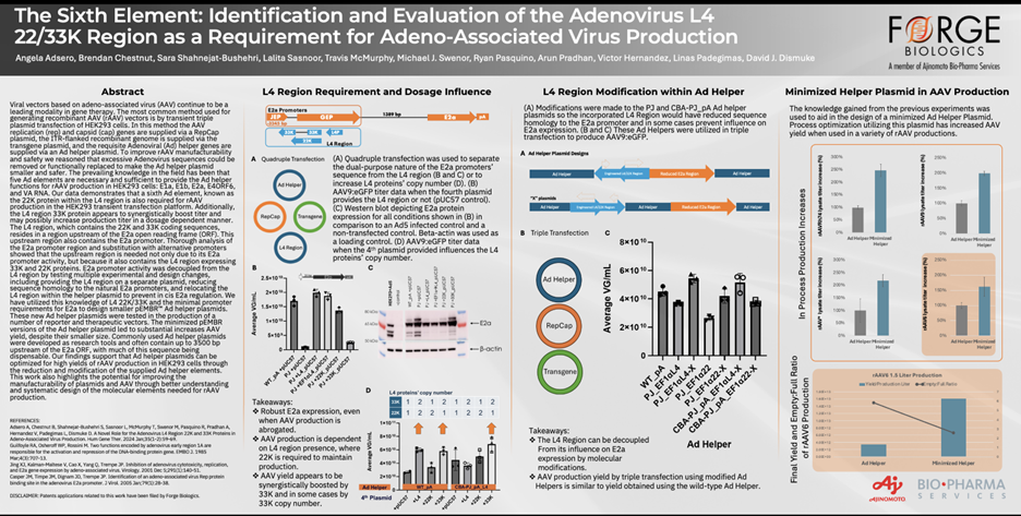 ASGCT24 poster Sixth Element