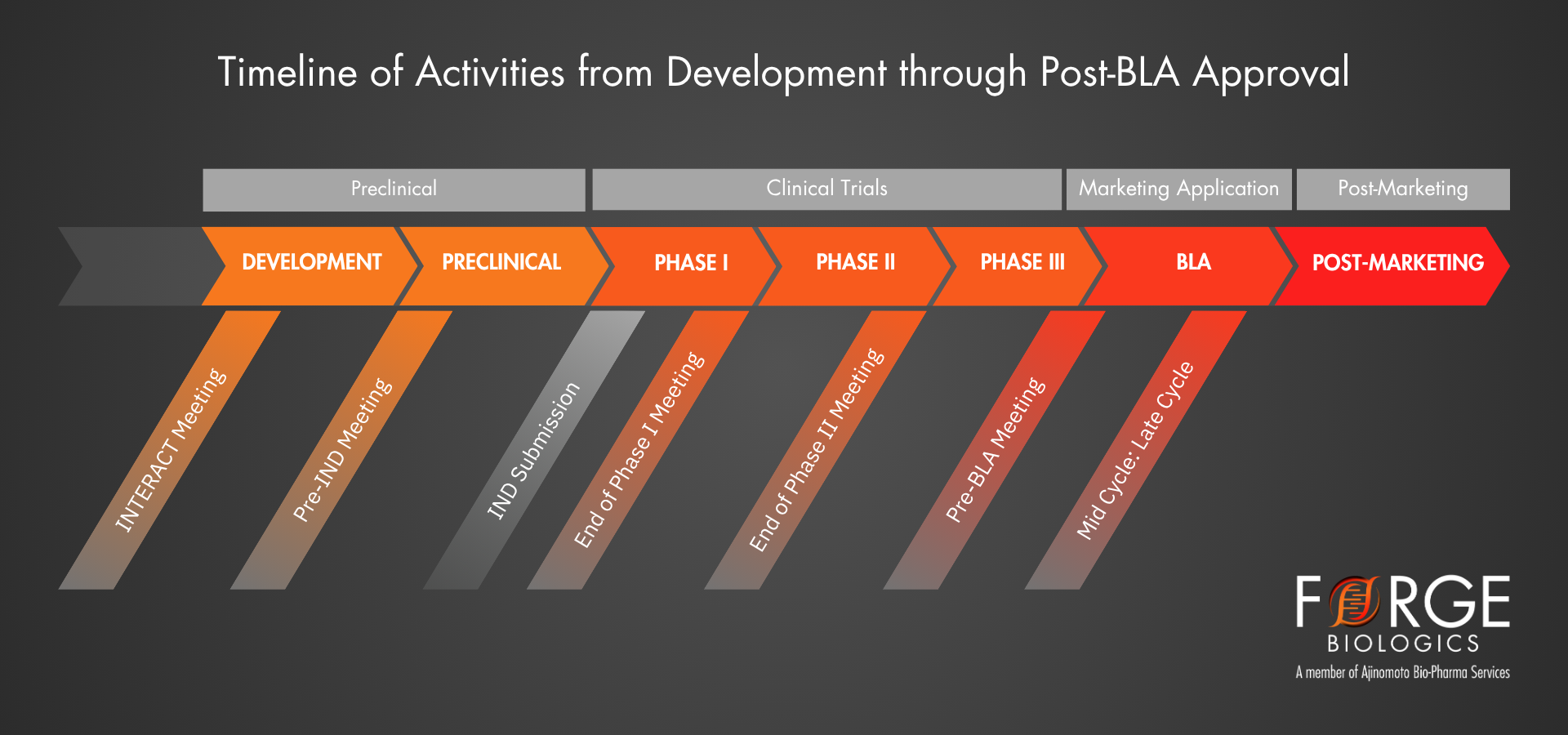 BLA Filing - Timeline 2