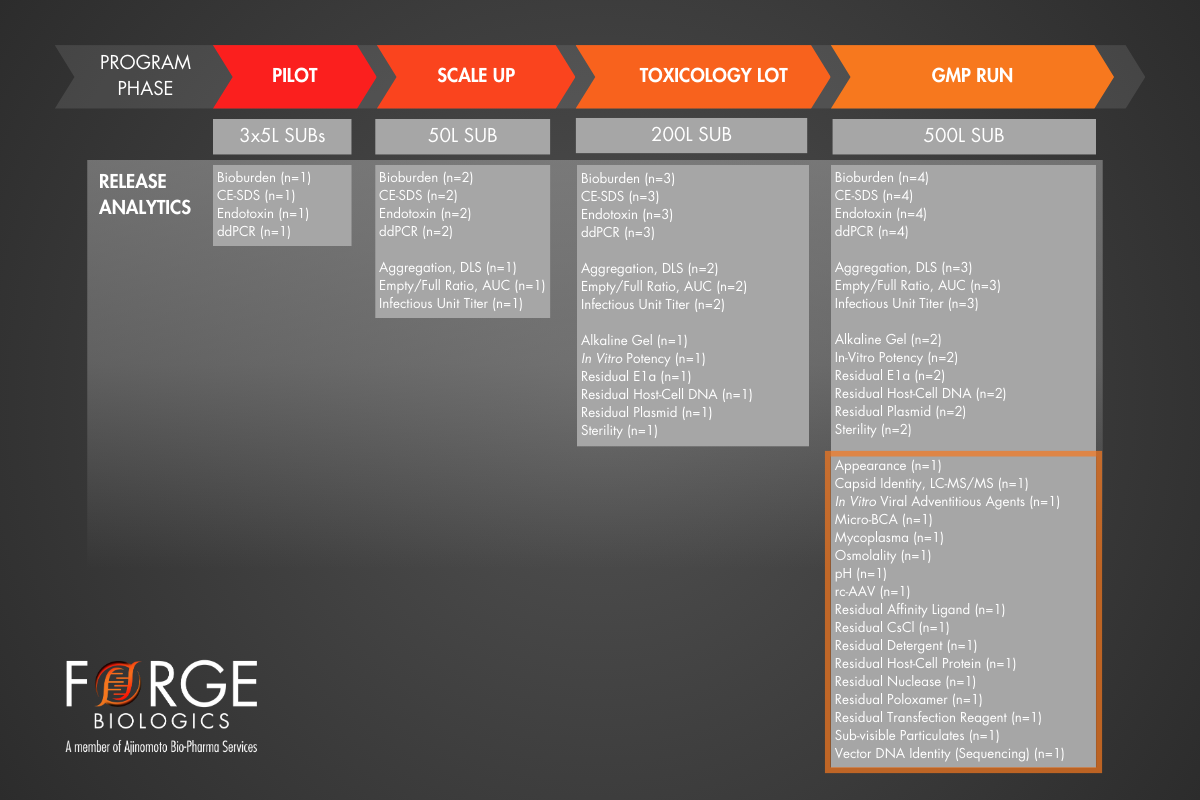 Case Study_ Program 1 5