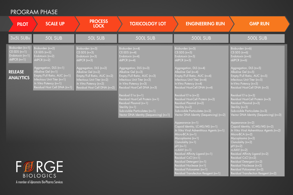 Case Study_ Program 2 5