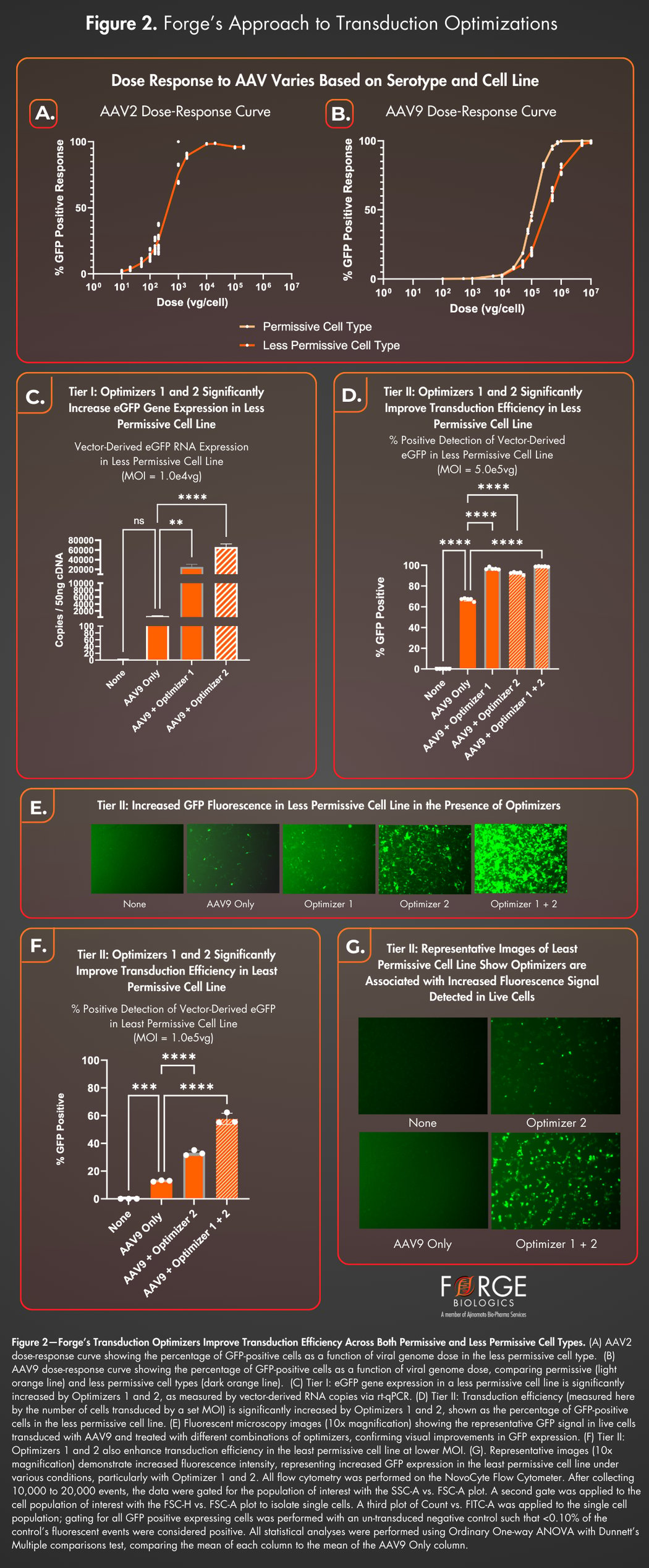 Figure 2 (3)