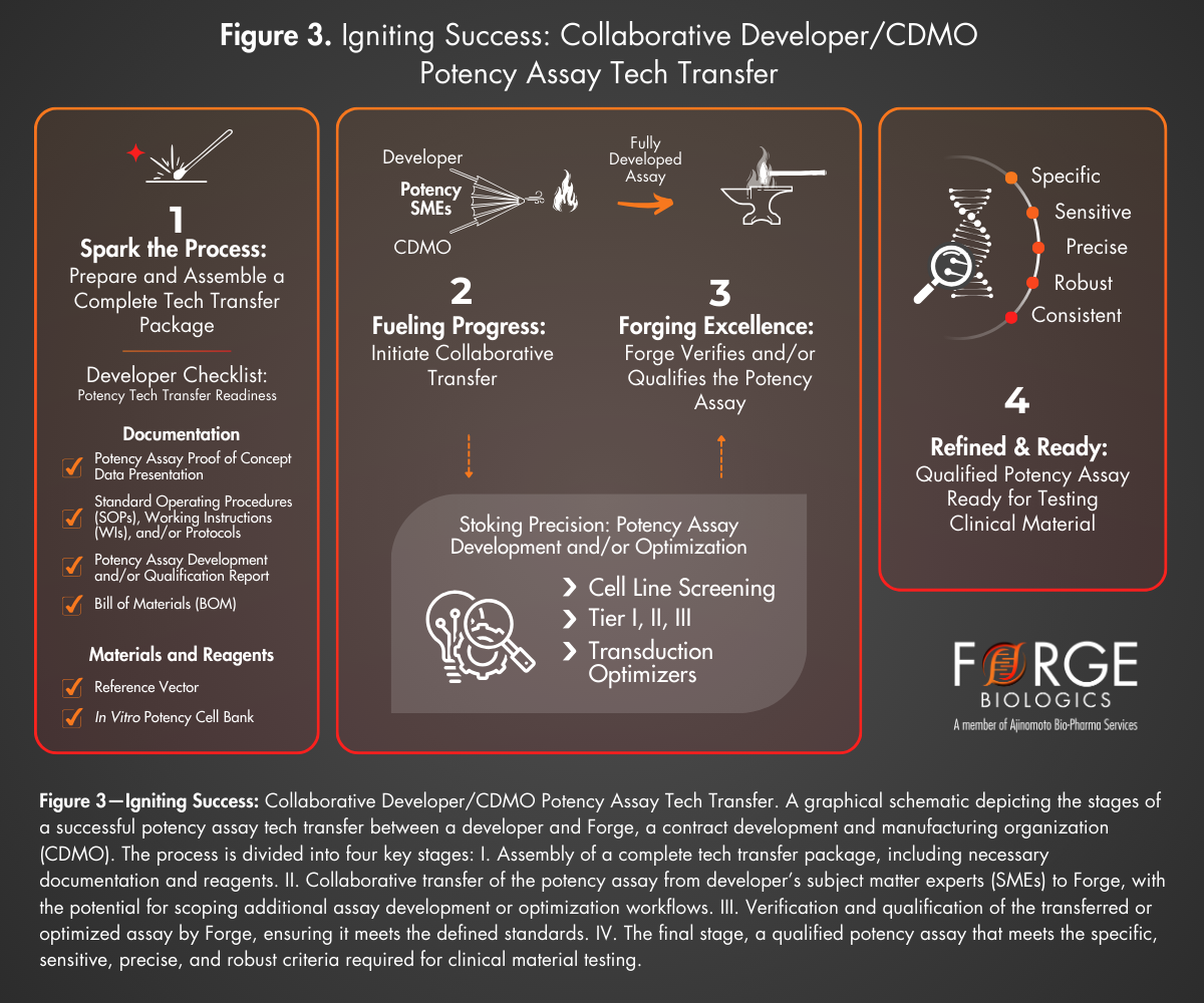 Figure 3 Igniting Success (4)