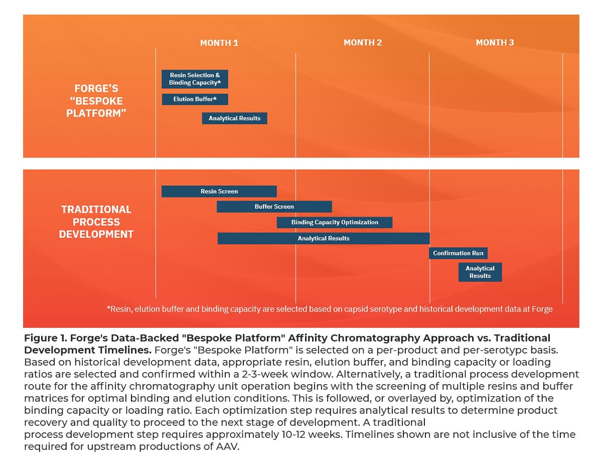 Forge Biologics’ cGMP Compliant and Commercially Viable Bespoke ...