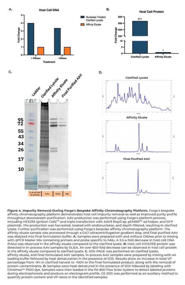 Biologics’ cGMP Compliant and Commercially Viable Bespoke