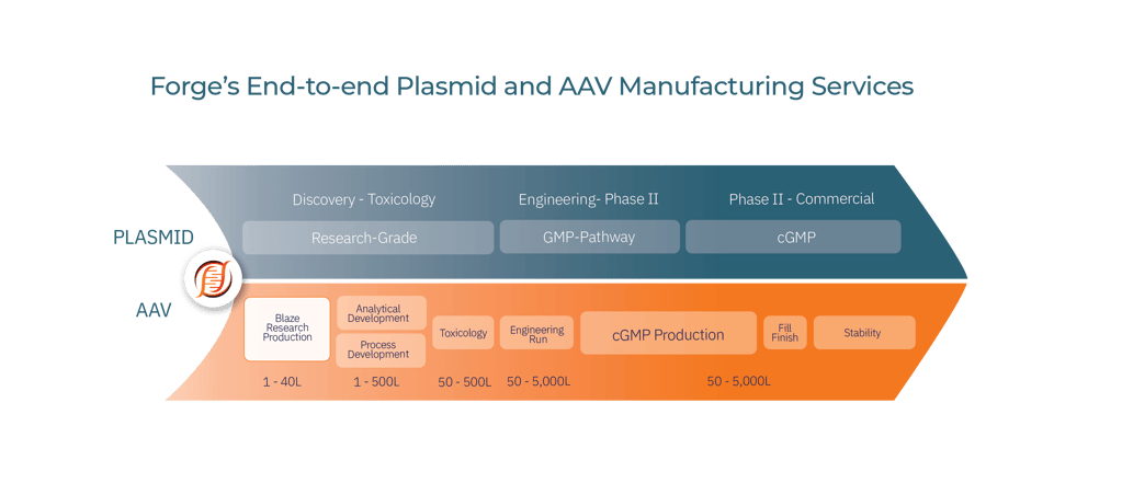 Forge's End-to-end Plasmid and AAV Manufacturing Services