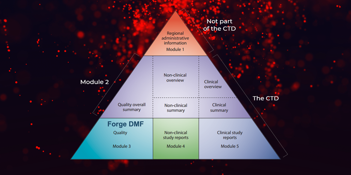 MicrosoftTeams-image (43)